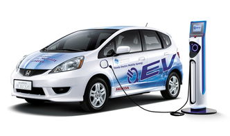 惠福萊店電動汽車價(jià)格表(惠福新能源)